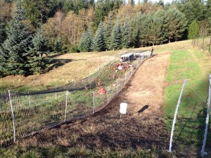 Day Ranging Chicken Tractors