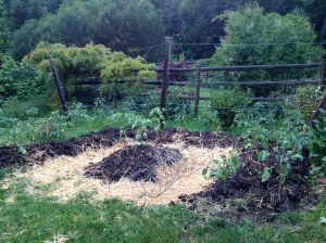 Hugelkultur keyhole bed